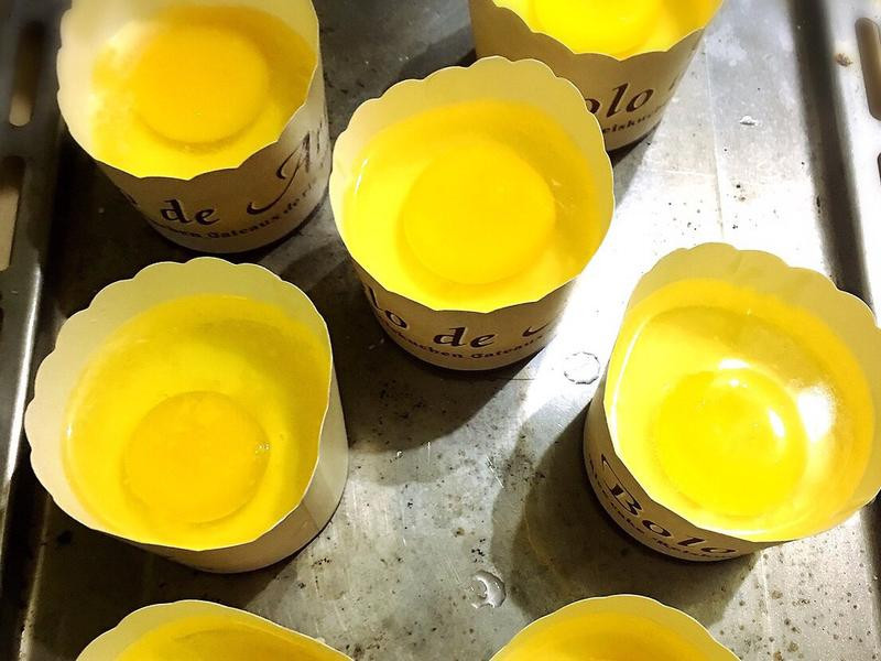 ��ʽ�����������