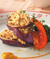 ��԰��ݼ���԰����������