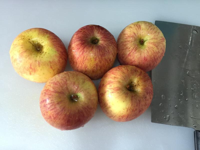 ľ��ƻ��������������