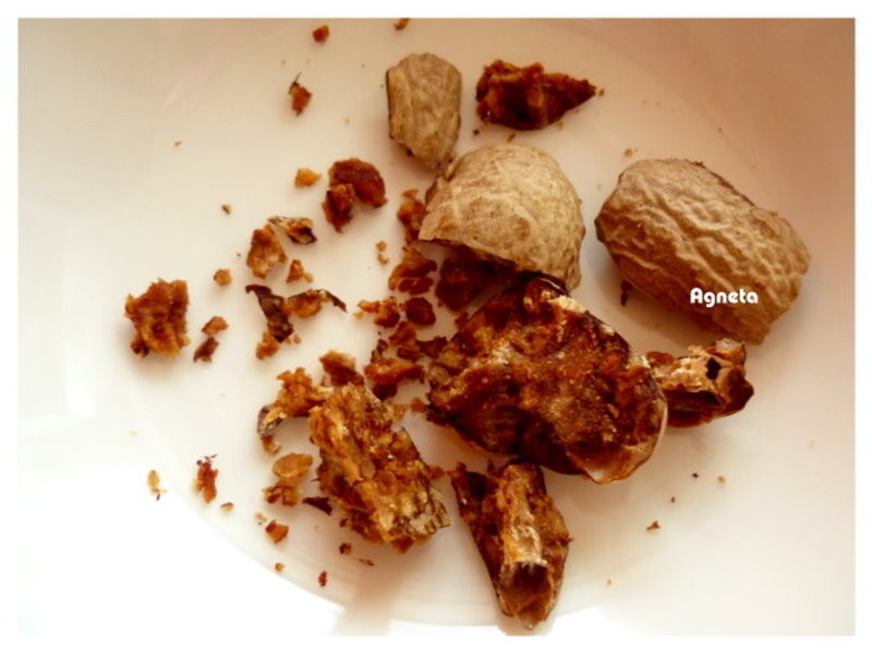 �����Ϻ�ƣ�ůů��������������