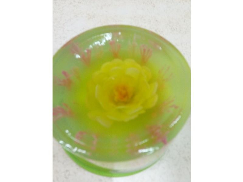 õ��ӣ��˫ɫĽ˹���������