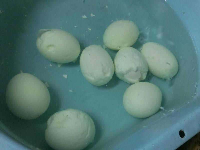 ����ҩ�ŵ�������