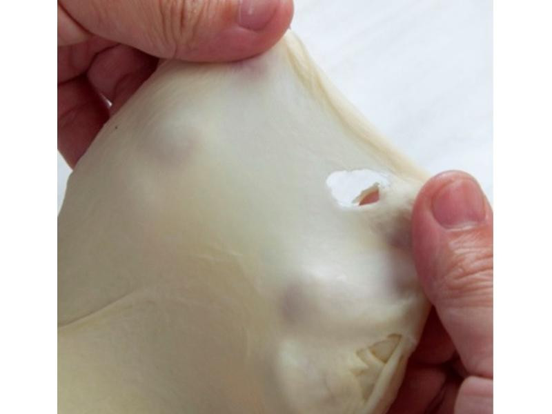 �ͷ����������������