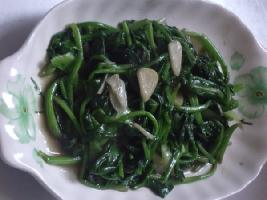 ��Ƭ���˵�����