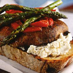 ����Ƭ�������ε�����