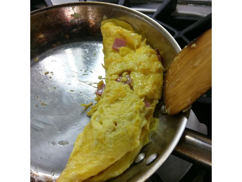 �������Ҷ�����������