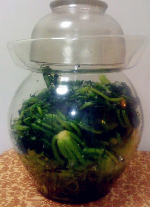 腌雪里蕻--雪菜的做法