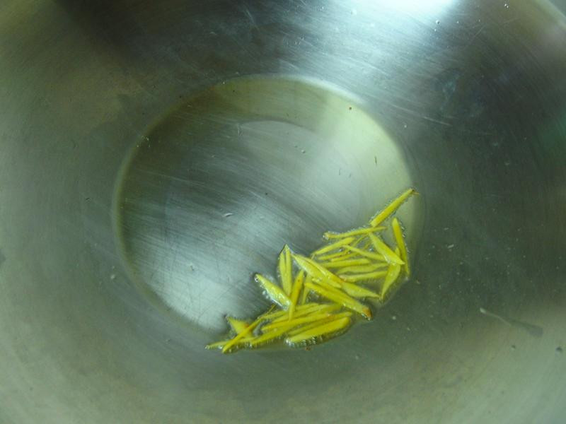 �峴�����Ͳ˵�����