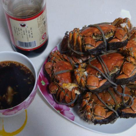 ơ�ƴ�բз--�＾�������ʳ������