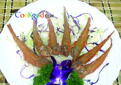 ��¶�ƹ�ɳ���������