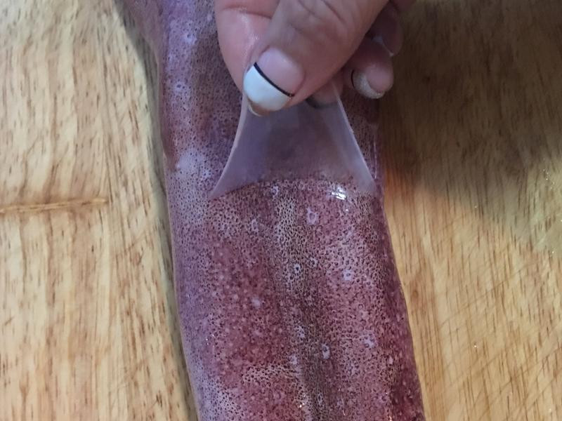 ������֦������