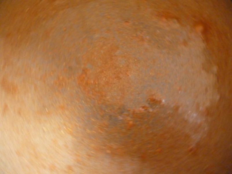 ±ˮ����(����ʳ)������