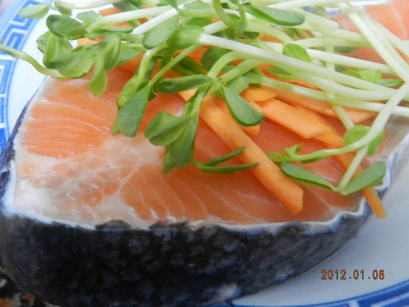 ֽ������(��ը��)������