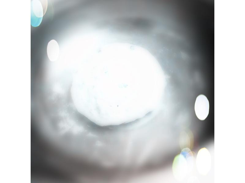 �۽�������������