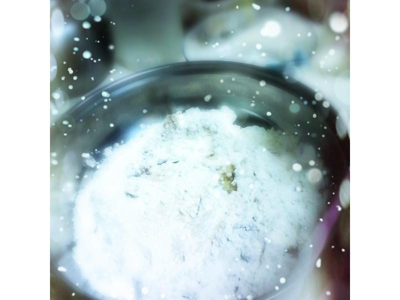 �۽�������������