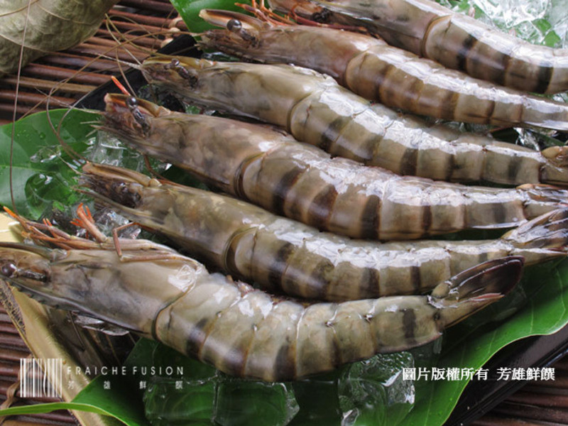 ��������-�ȳ�����Ǻ��Ϻ�ʵ�����