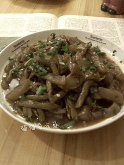 �ݽ���ħ�������