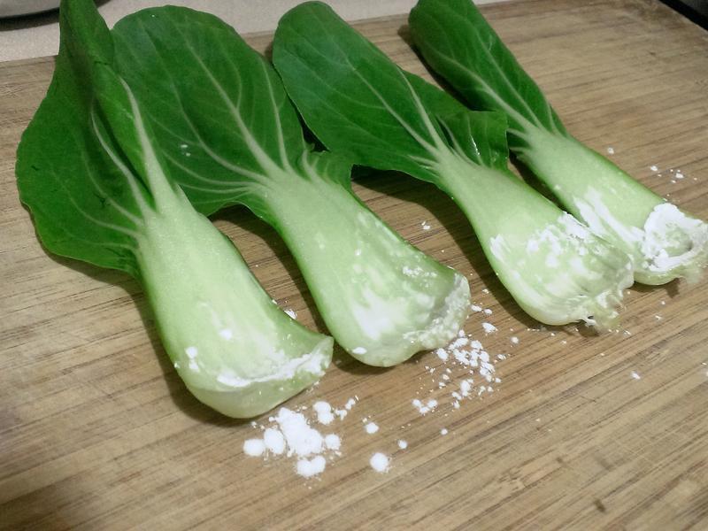 �̿�������С��-����ʢ�̿�����������