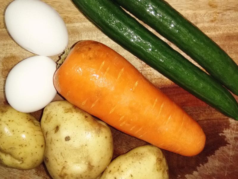 ����������ɳ��������