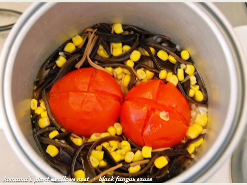 �ڹ����������׷���������