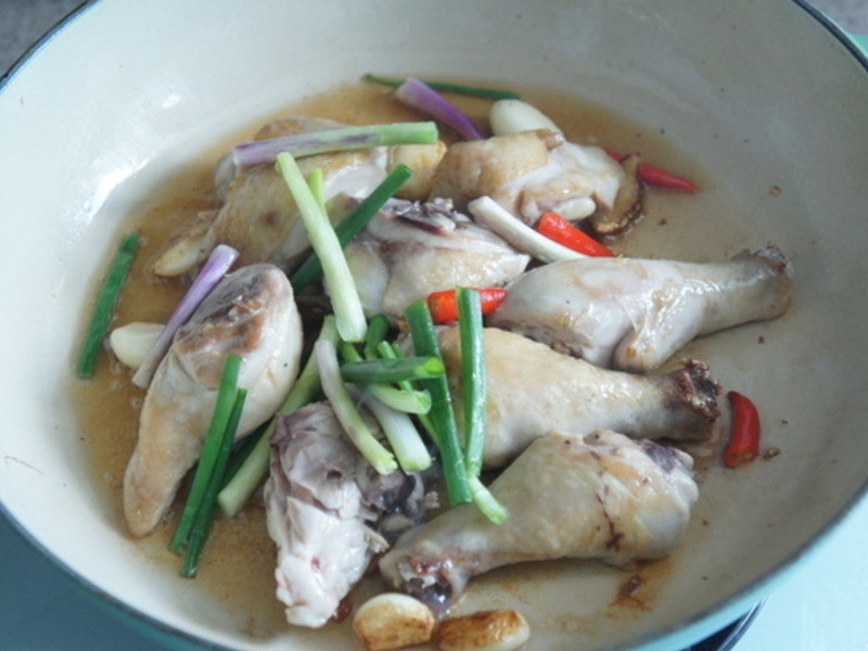 ����������Ѫ�������