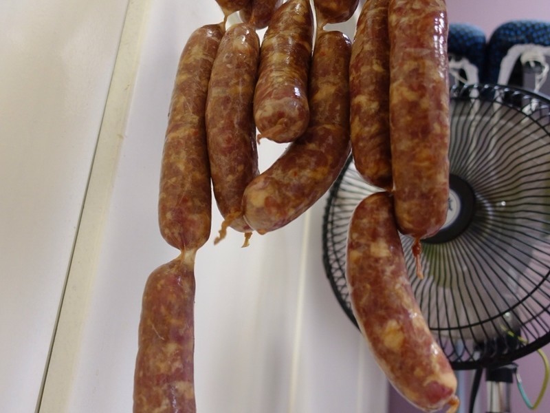 ������ζ�㳦������