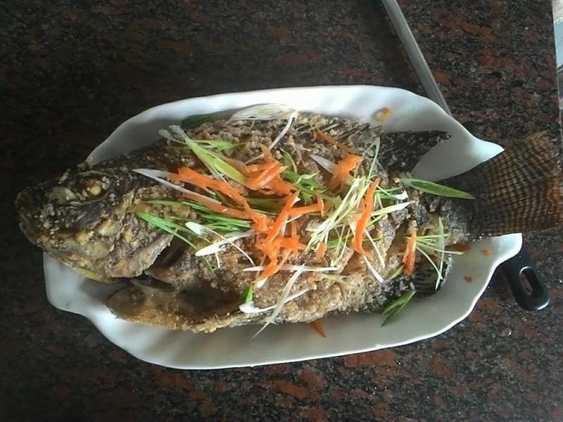 ��ը���㽴��~�ƶ˱�����ʳ�ҵ�����