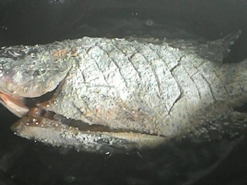 ��ը���㽴��~�ƶ˱�����ʳ�ҵ�����