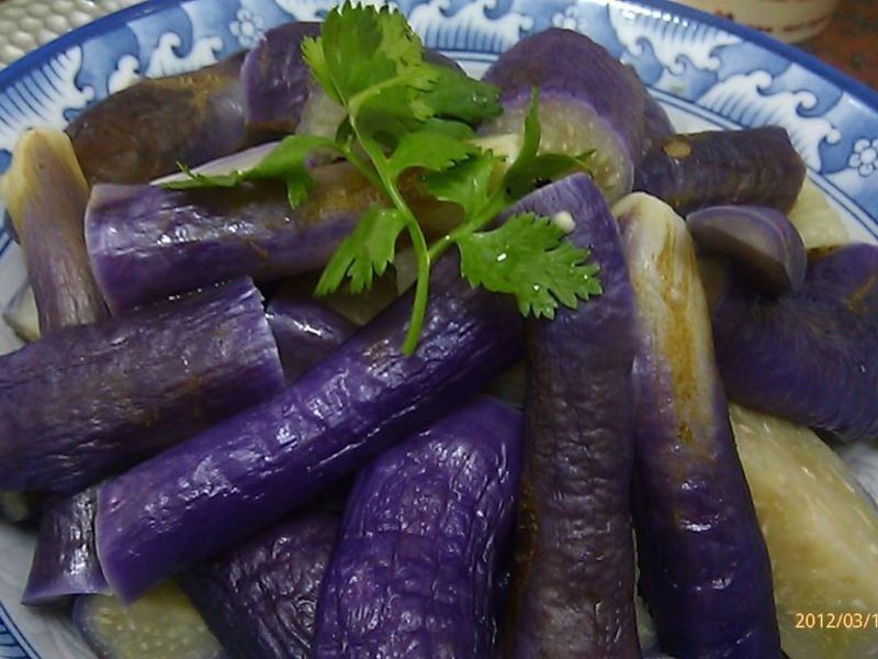 �����ӵ�����