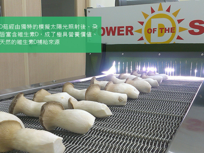 ���㹽Ϻ�������