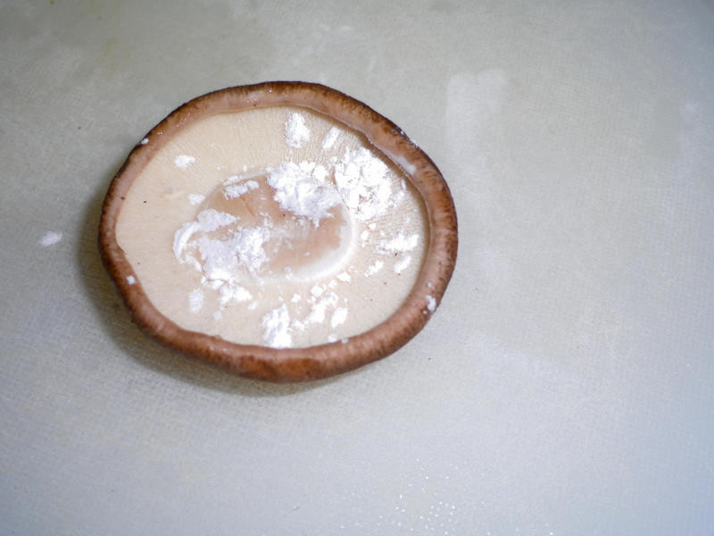 ���㹽Ϻ�������