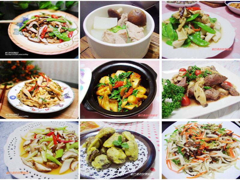 ���㹽Ϻ�������