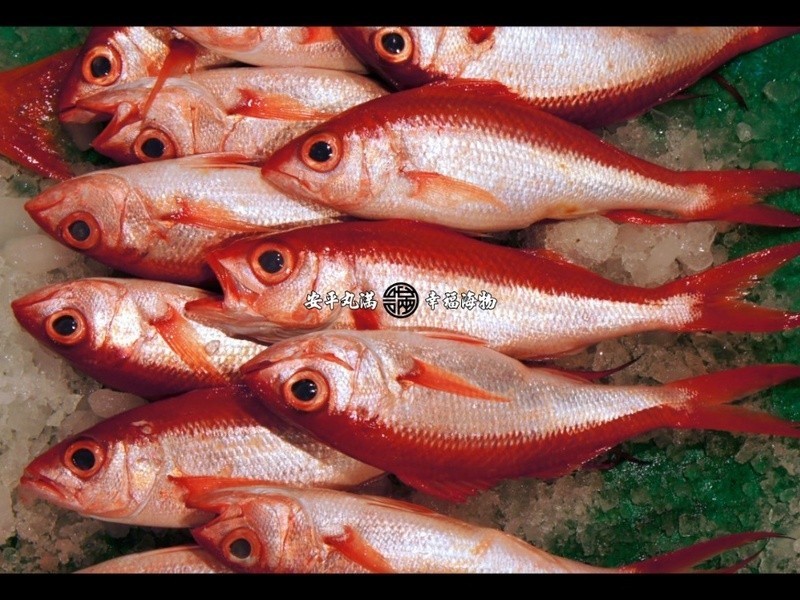 ������β�������