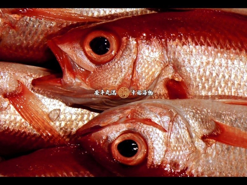 ������β�������