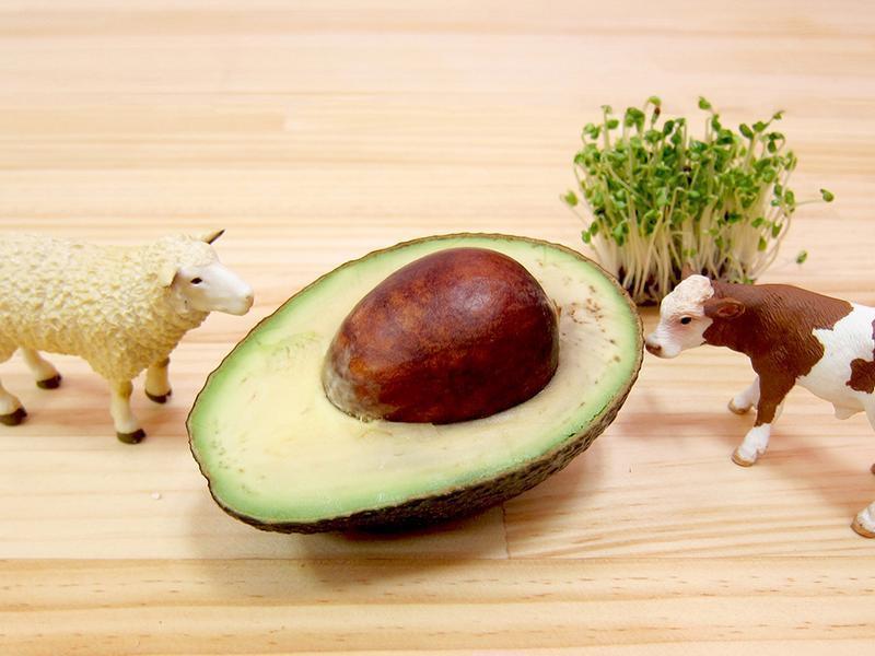 [Ӫ��ʦ�ľ�����֮·] ���澫����������