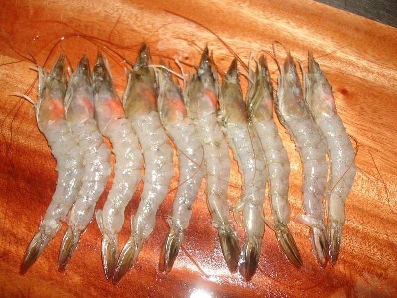 ������ζϺ������