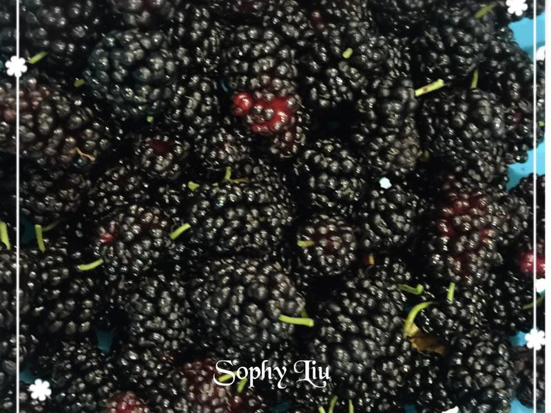 ɣ�ع�������ܵ�����