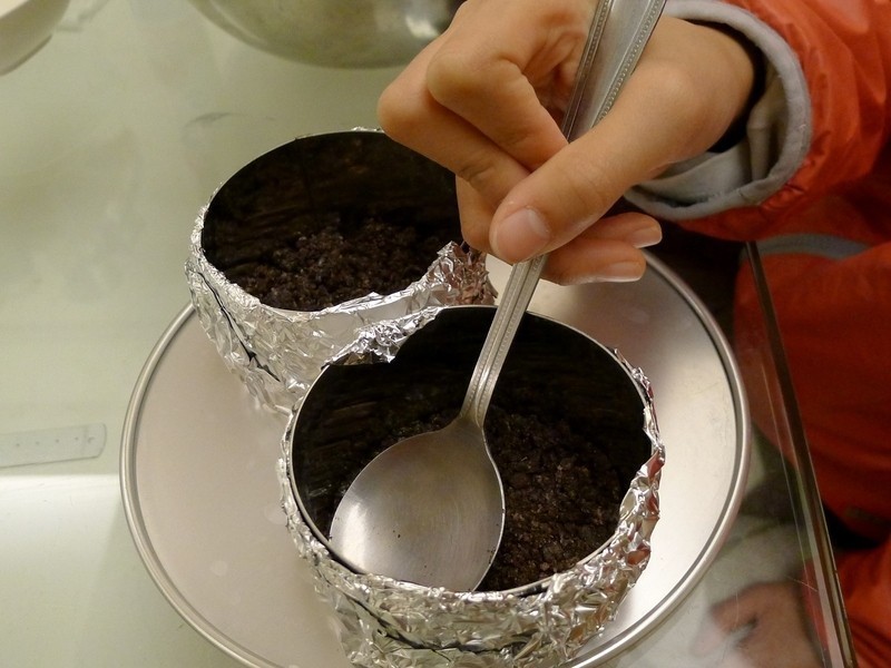 ��ݮ���̶�������