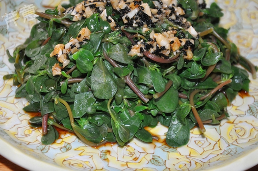 ���������ȵ�����