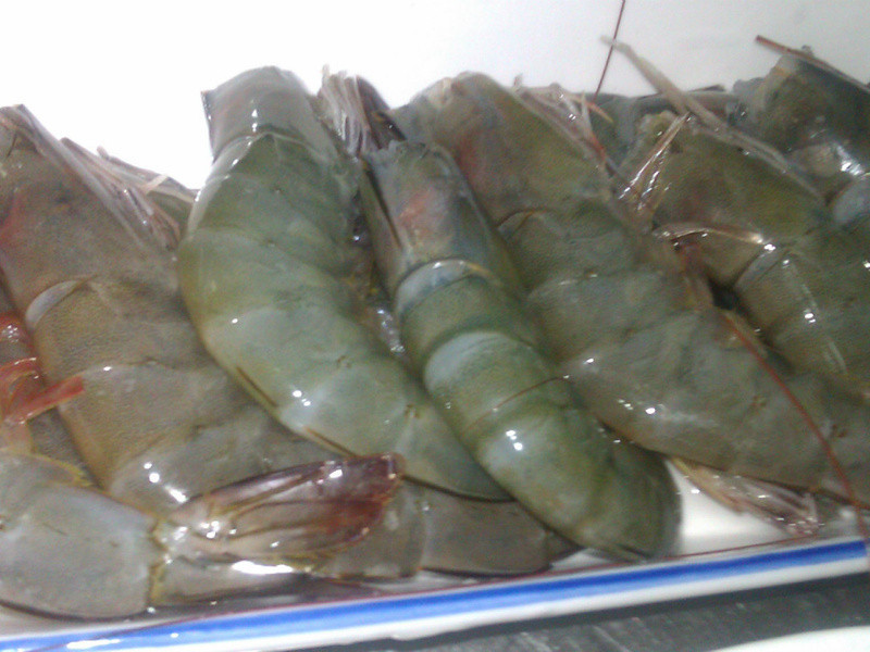 ������Ʒ�����ⱬ����Ϻ������