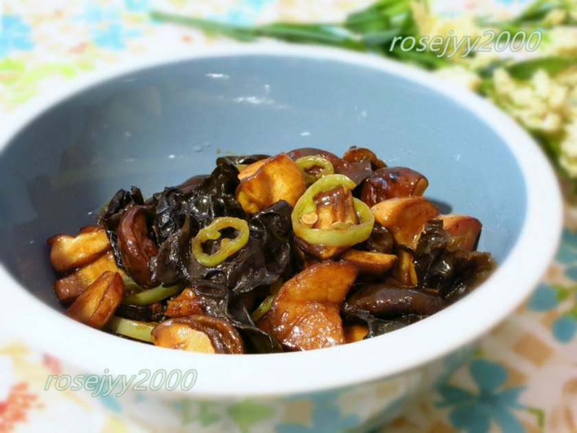 ���ľ���ӱ���������