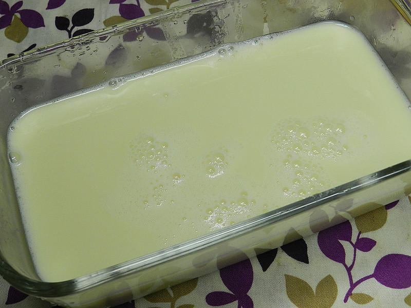 ~��������������