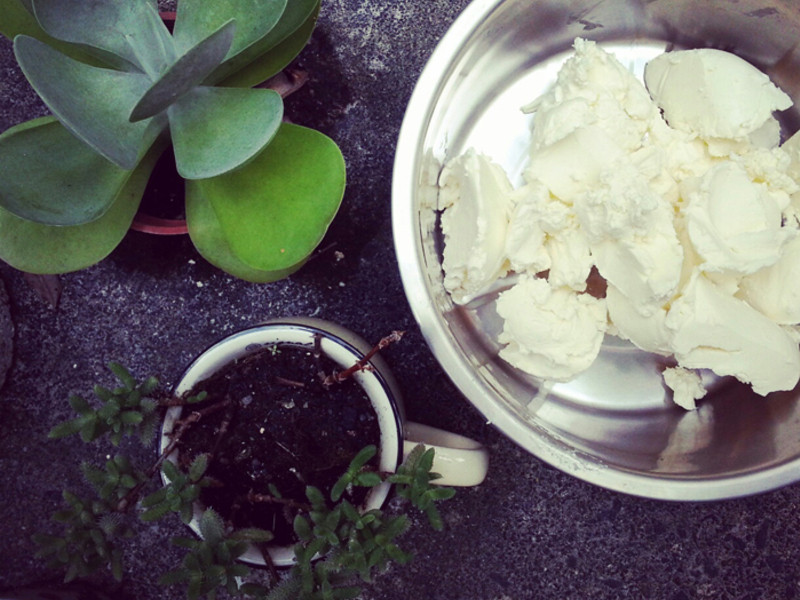 ��Cheese��ŦԼ ������ ��˾����үү!������