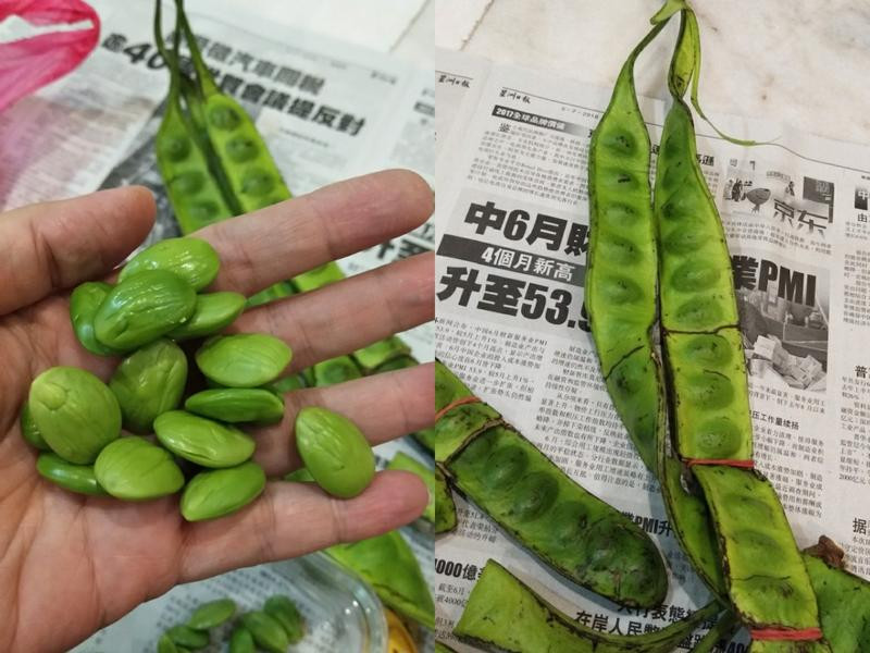 �������Ϻ�׵�����