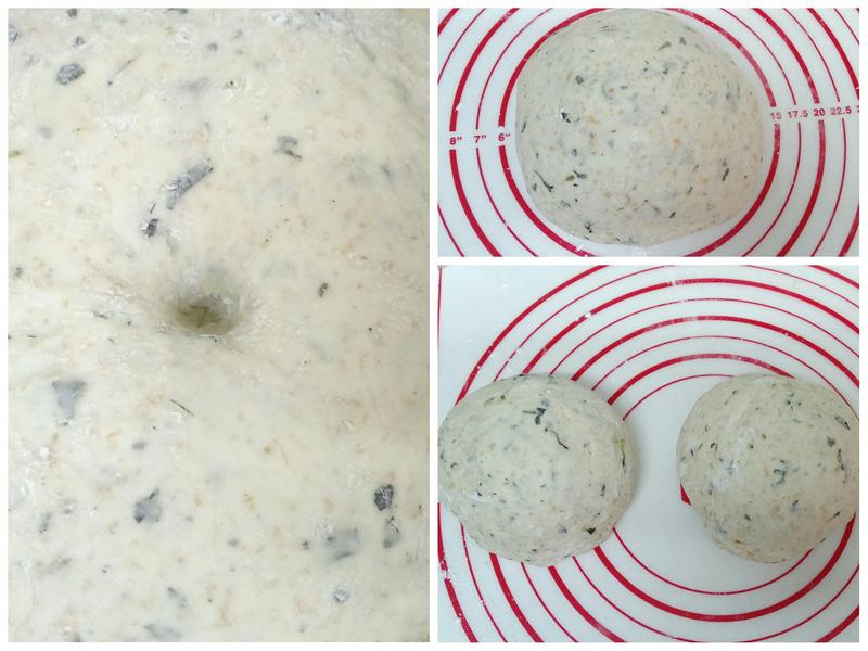 ȫ��Ų����������������