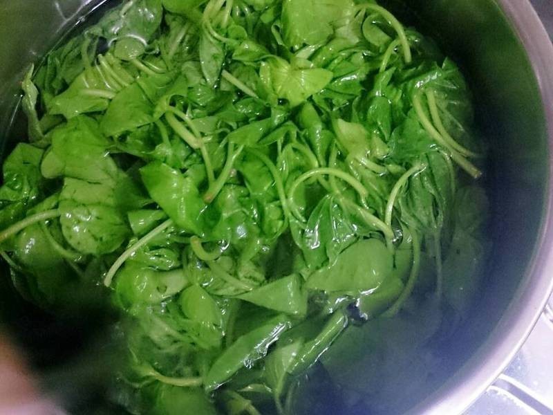 �ҳ����ع�Ҷ������