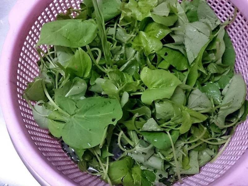 �ҳ����ع�Ҷ������