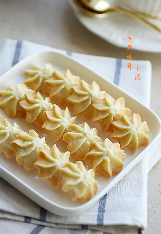 �͸������ǵ����������桿������