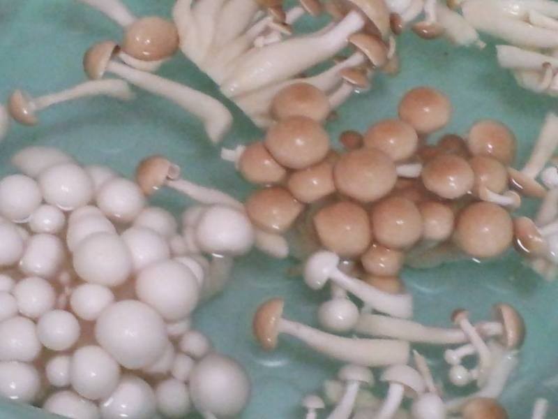 ��ɳ�����ţ���ҡ�������