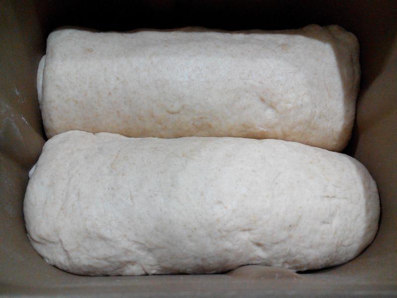 �����˾ȫ����˾-�ѥ�ι����ֹ��������������